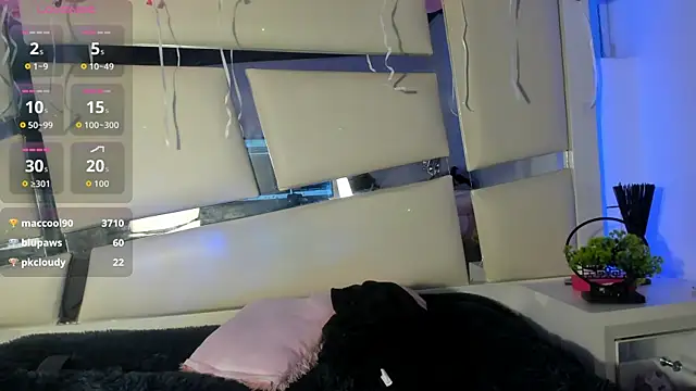 Snapshot of Genesis_ask chatting on November 17, 10:36 pm Genesis ask online show from November 17, 10:36 pm