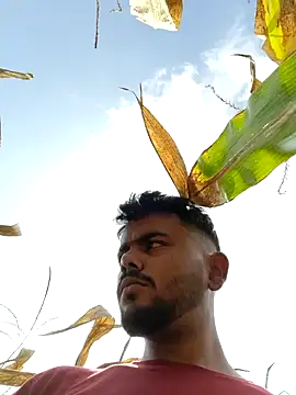 devil boy 0909 online show from November 4, 7:23 am