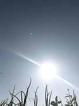 devil boy 0909 online show from March 5, 3:47 am