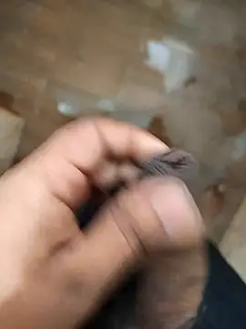 Telugus online show from March 26, 5:06 am