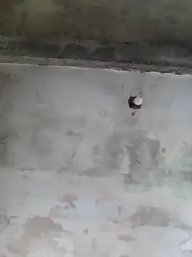 Snapshot of AlanMargin chatting on November 8, 6:22 pm AlanMargin online show from November 8, 6:22 pm