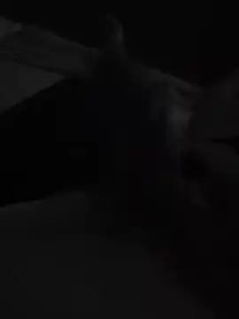 Tincho1051 online show from December 5, 11:42 am