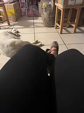 Evil kitty6 online show from December 15, 12:27 am