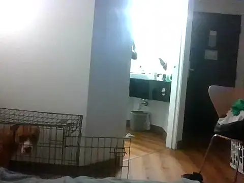 TheRealKnottiHead online show from October 27, 11:22 am