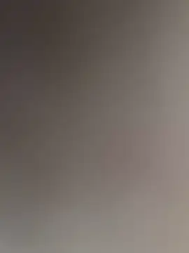 WildNour online show from November 16, 2:00 pm