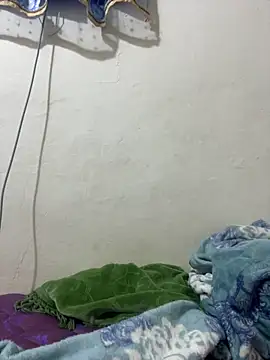 WildNour online show from December 5, 2:48 pm