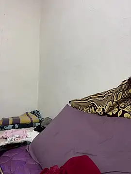 WildNour online show from February 9, 2:04 pm