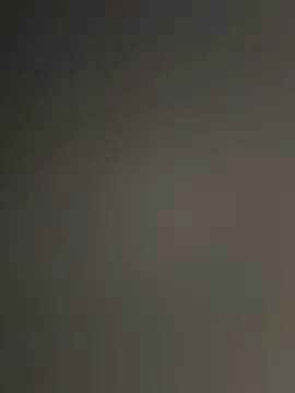 WildNour online show from November 15, 4:33 pm