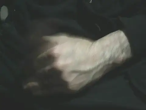 giovanift111 online show from January 10, 12:50 am