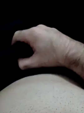 fe96 online show from November 11, 3:56 am