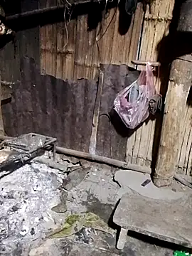 doggy-00 online show from December 2, 12:18 pm