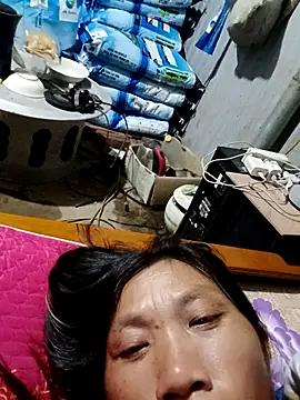 Snapshot of bella-la chatting on November 11, 12:00 pm bella-la online show from November 11, 12:00 pm