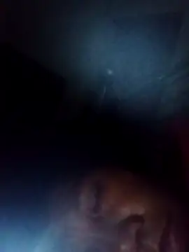 Snapshot of bella-la chatting on November 22, 11:03 pm bella-la online show from November 22, 11:03 pm