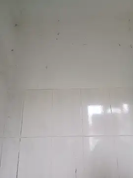 bella-la online show from February 12, 12:54 am