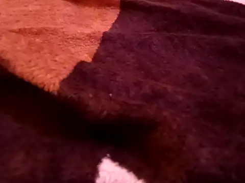 bigtelugubhama online show from February 7, 8:28 pm