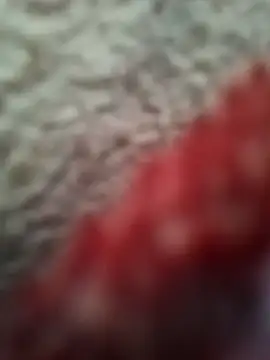 bigtelugubhama online show from February 8, 9:07 am