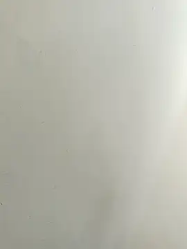 bigtelugubhama online show from November 7, 10:53 am