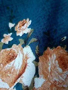 bigtelugubhama online show from February 17, 7:11 pm