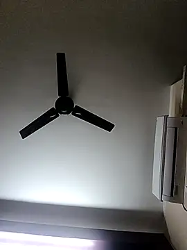 bigtelugubhama online show from January 13, 1:04 pm