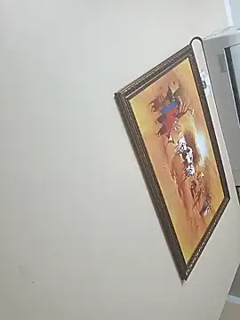 bigtelugubhama online show from January 8, 6:25 pm