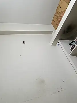 bigtelugubhama online show from December 14, 11:54 pm