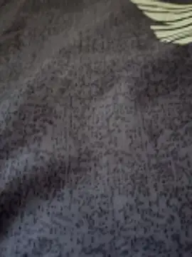 bigtelugubhama online show from February 25, 7:19 am