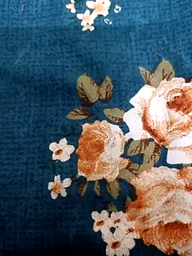 bigtelugubhama online show from February 18, 2:24 pm