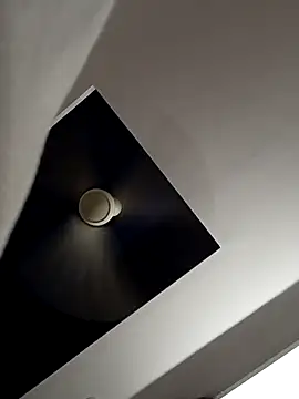 bigtelugubhama online show from March 8, 1:14 pm