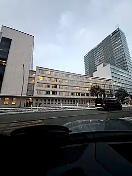 EchoVibe 86 online show from January 7, 3:17 pm