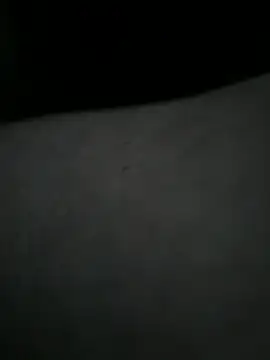 EchoVibe 86 online show from March 11, 5:07 pm