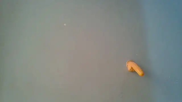 sashachin online show from March 19, 6:02 am