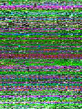 Shelas room official online show from November 2, 3:50 pm