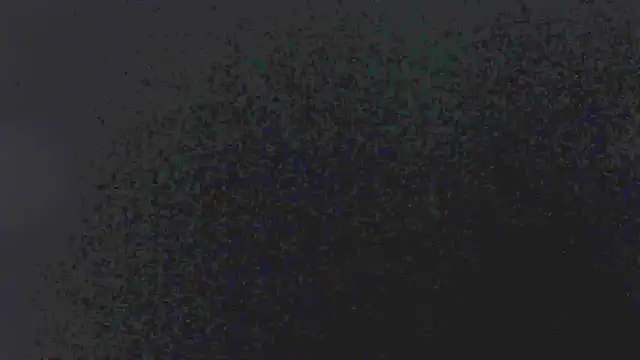 little emiily  online show from November 5, 11:02 am