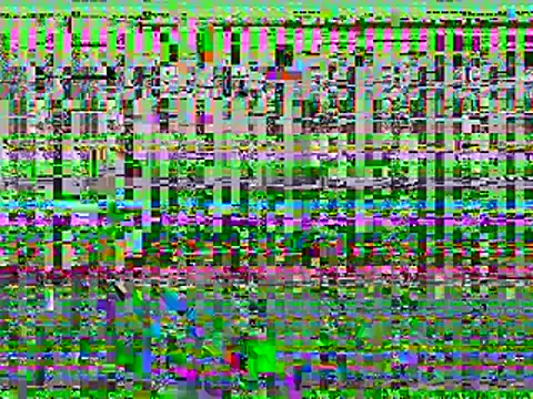 Dyskizly online show from February 22, 5:43 am