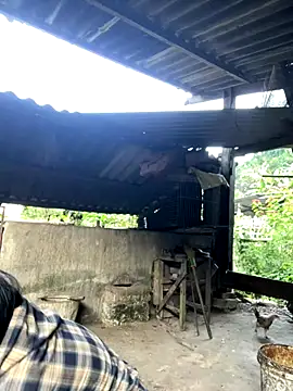 heodat-sexx online show from November 27, 12:33 am