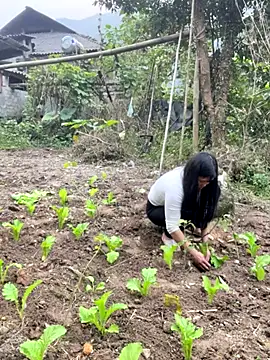 heodat-sexx online show from December 20, 9:45 am