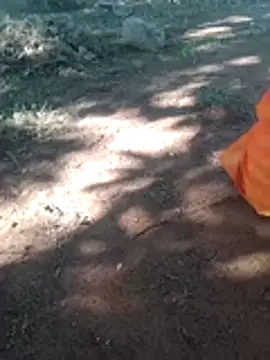 Snapshot of Anju_setty chatting on November 8, 7:12 am Anju setty online show from November 8, 7:12 am