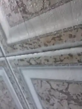 3zekie1 online show from October 28, 2:16 pm