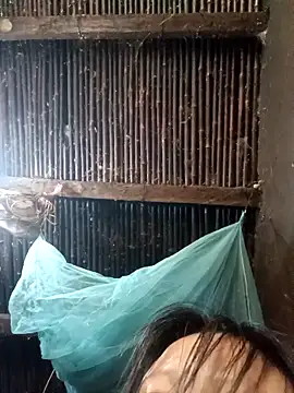 yoyo-mi online show from February 25, 3:29 am