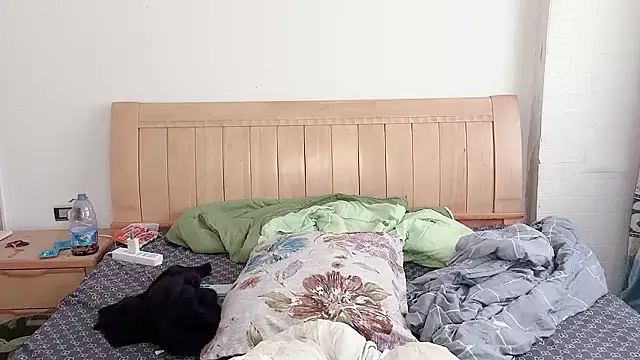 N228 online show from December 5, 6:56 am