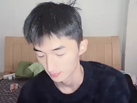 N228 online show from November 12, 8:07 am