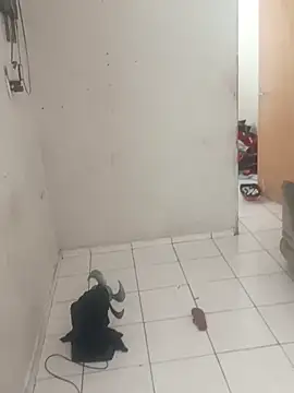 Snapshot of _-_-_sthefany chatting on October 30, 3:09 pm  - - sthefany online show from October 30, 3:09 pm