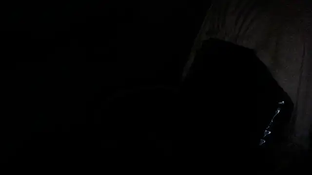 Snapshot of gygyfox chatting on November 21, 10:53 pm gygyfox online show from November 21, 10:53 pm