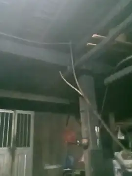 Snapshot of matbiec- chatting on November 19, 10:32 pm matbiec- online show from November 19, 10:32 pm