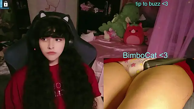 BimboCat online show from June 11, 8:28 pm