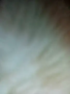 Nul-chal online show from February 26, 6:19 pm