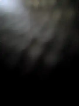 hotestanal online show from December 16, 9:24 am