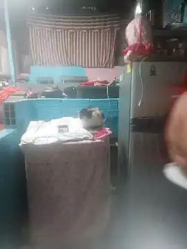 Snapshot of Gordisexi14 chatting on November 10, 7:52 pm Gordisexi14 online show from November 10, 7:52 pm