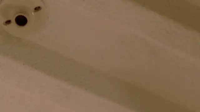 Zara Nova online show from December 17, 11:32 pm