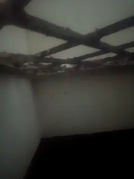 Pallu Asha online show from March 15, 3:52 pm